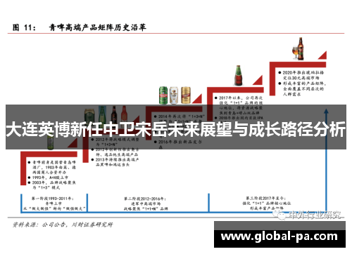 大连英博新任中卫宋岳未来展望与成长路径分析