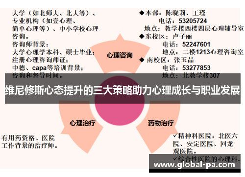 维尼修斯心态提升的三大策略助力心理成长与职业发展