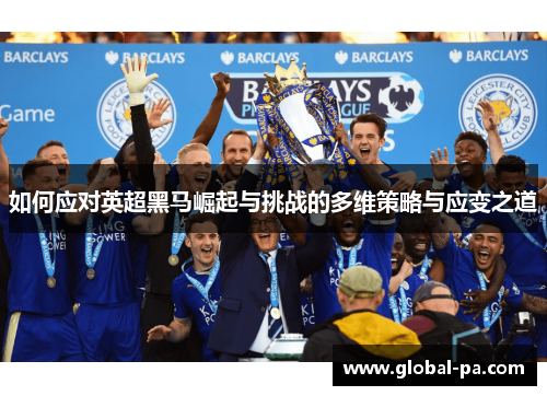 如何应对英超黑马崛起与挑战的多维策略与应变之道