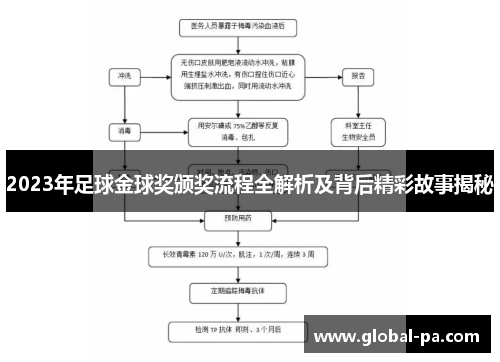 2023年足球金球奖颁奖流程全解析及背后精彩故事揭秘