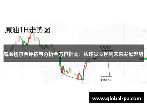 威廉切尔西评估与分析全方位指南：从球员表现到未来发展趋势