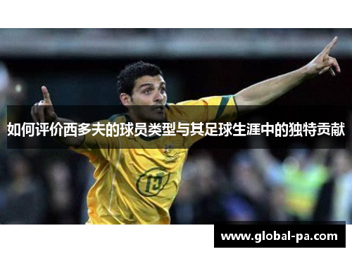 如何评价西多夫的球员类型与其足球生涯中的独特贡献