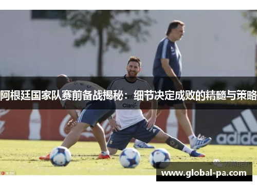 阿根廷国家队赛前备战揭秘：细节决定成败的精髓与策略