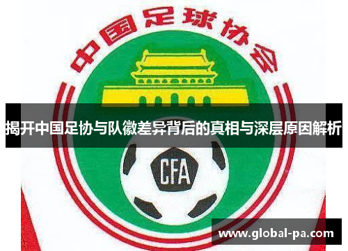 揭开中国足协与队徽差异背后的真相与深层原因解析