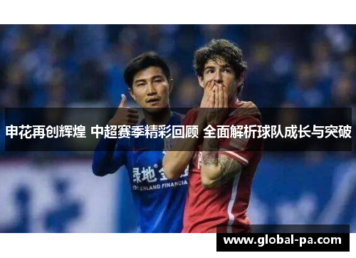 申花再创辉煌 中超赛季精彩回顾 全面解析球队成长与突破 申花再创辉煌 中超赛季精彩回顾 全面解析球队成长与突破