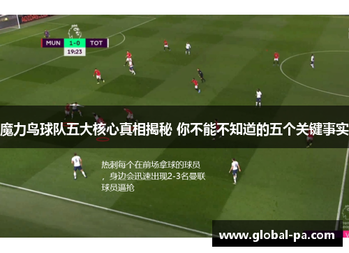 魔力鸟球队五大核心真相揭秘 你不能不知道的五个关键事实 魔力鸟球队五大核心真相揭秘 你不能不知道的五个关键事实